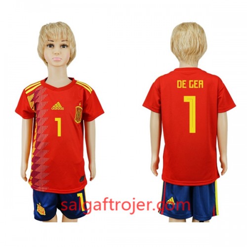 Spanien Fodboldtrøjer De Gea 1 Børn Hjemmebanesæt VM 2018 Spanien Fodboldtrøjer De Gea 1 Børn Hjemmebanesæt VM 2018